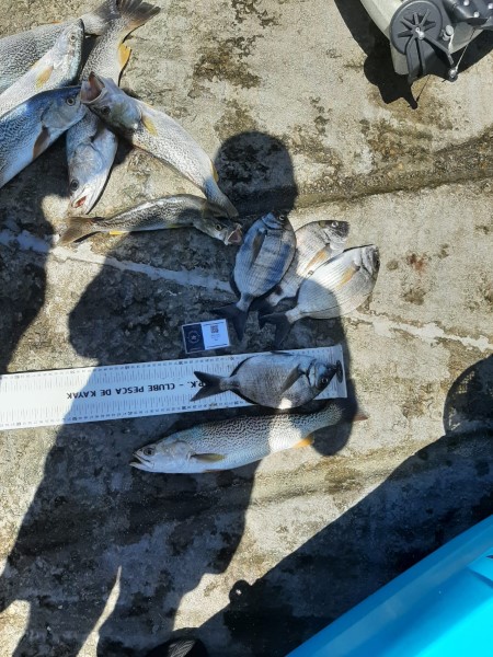 Fish Measure Picture